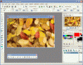 Formation PAINTSHOP PRO